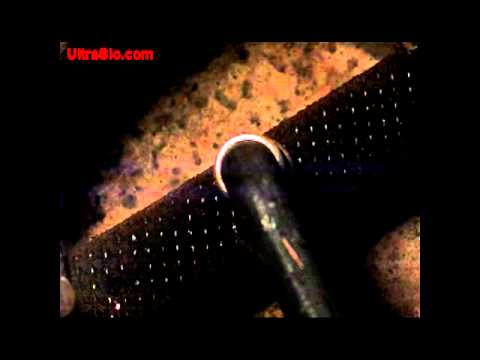 Flint lighting torch in UltraSlo
