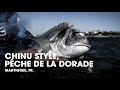 Chinu style  pche  la dorade