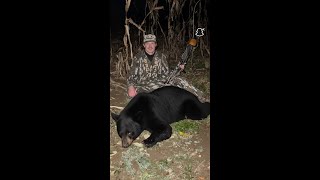 картинка: Черный медведь на 8 ярдах с луком Recurve