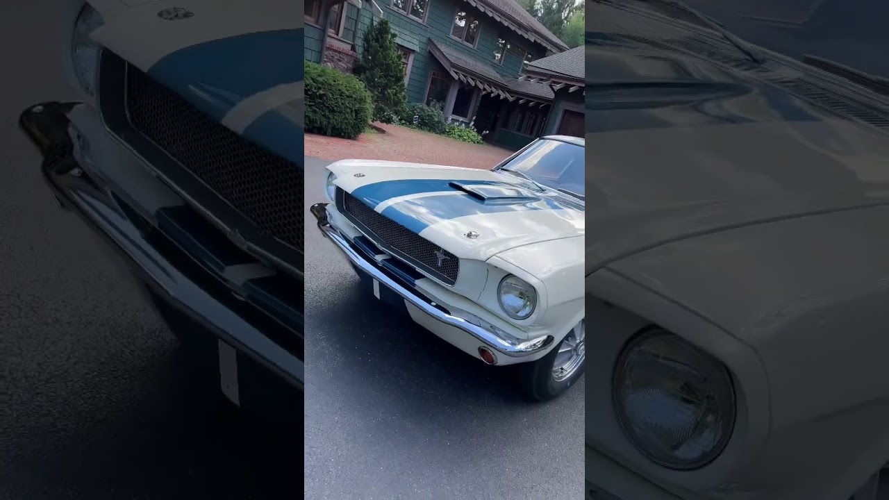 Recently shot this beautiful 65 Shelby GT350. 