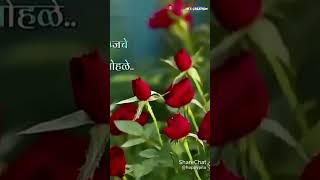 happy rose day अरे वेड्या मनाmarathireels anuandayumarathichannel ytshorts shortvideo 