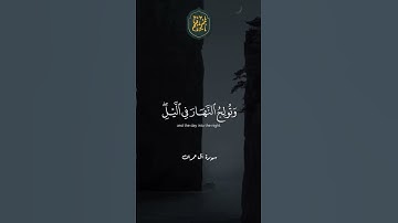 ❤️  تلاوة جميلة ارح سمعك بها #سيد_سعيد #قرآن #قرآن_كريم #quran #تلاوة_خاشعة #القرآن_الكريم #تلاوات
