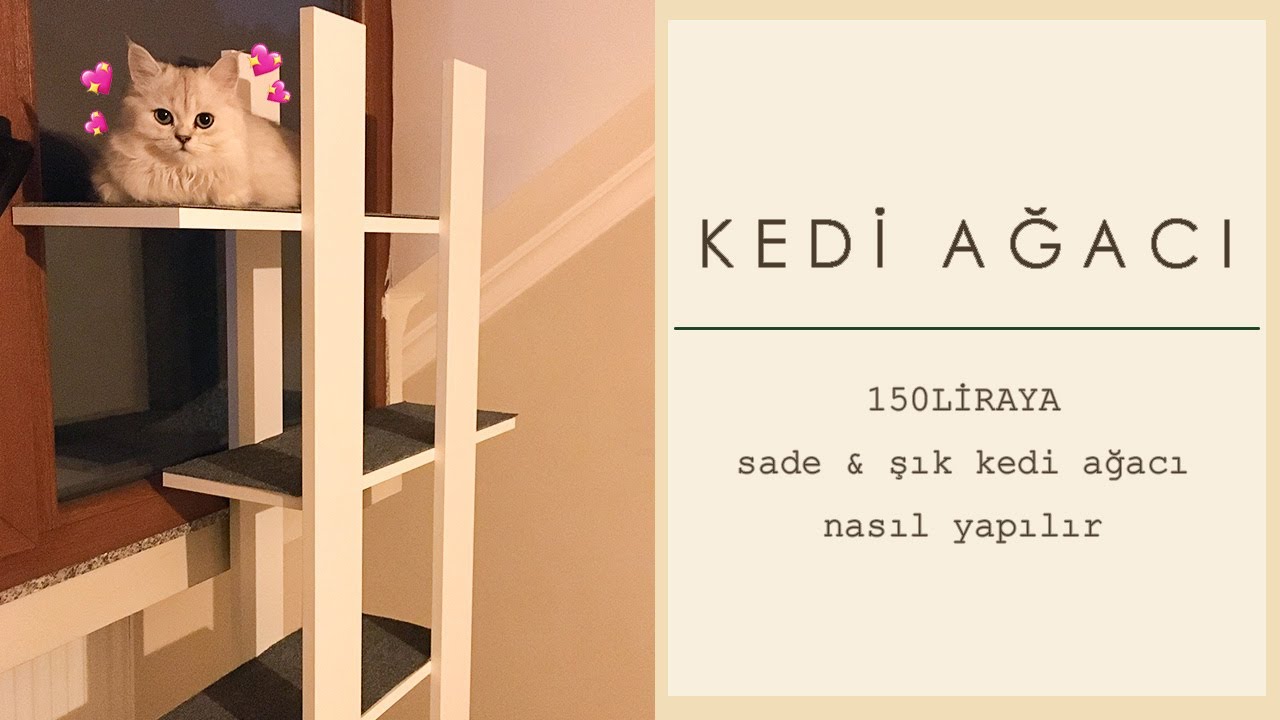 150TLye kedi ağacı yaptık YouTube