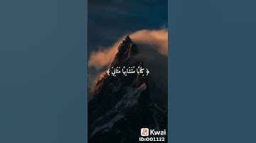 ستوريات دينيه / أفمن شرح الله صدره للإسلام فهو علىٰ نور من ربه /حالات واتس آب قران/آيات قرانية قصيرة