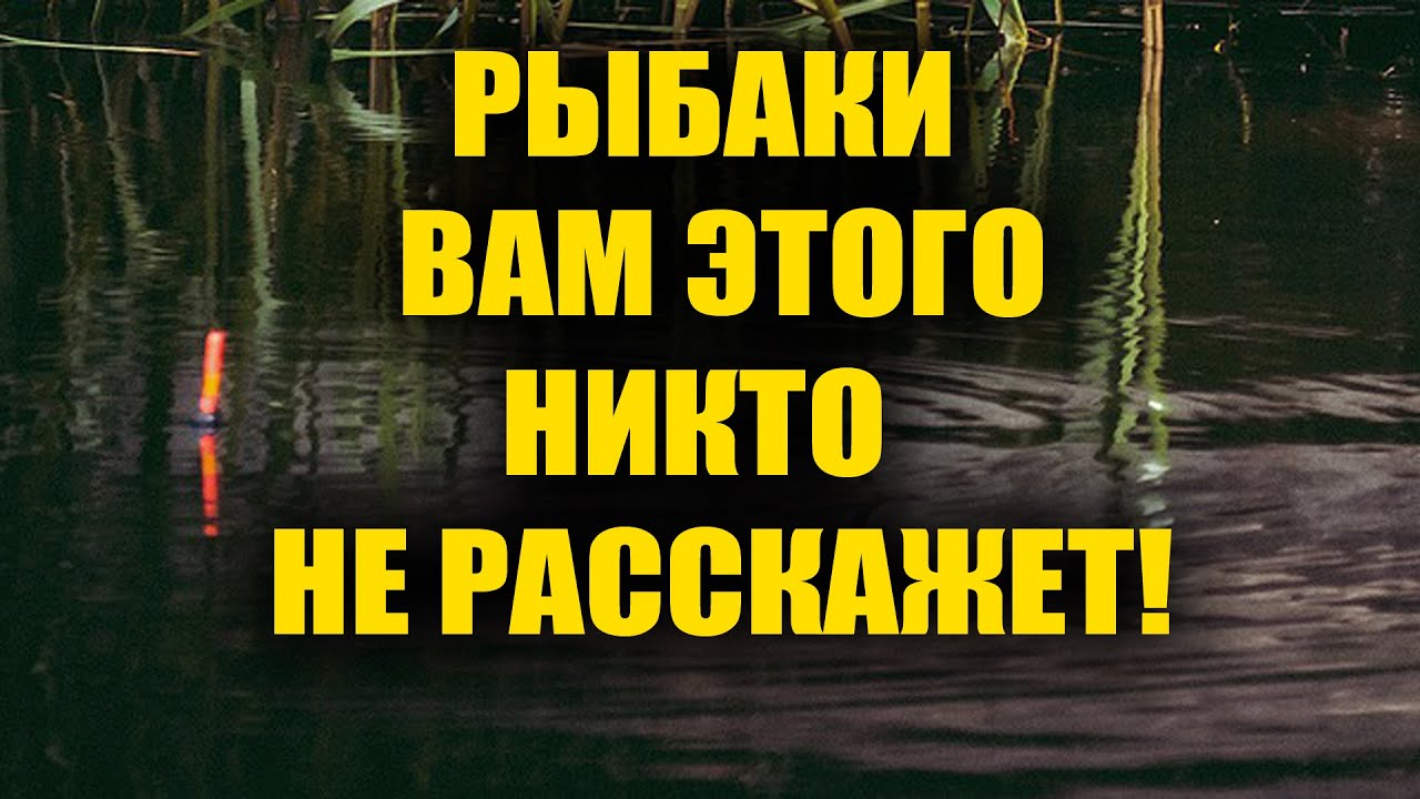 Вся правда про прикормку для рыбалки из магазина - YouTube