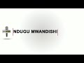 NDUGU MWANDISHI EP 1