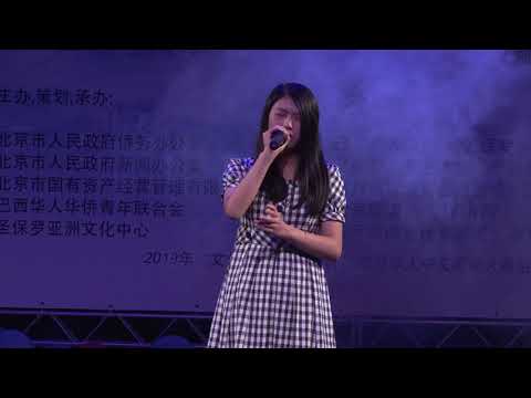 巴西华人华侨青年联合会，2019年水立方杯总决赛-06