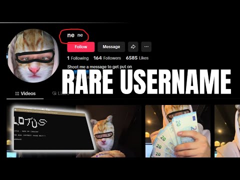 How To Make A TIKTOK Username Checker (free 4l, 4cs)