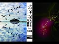 【講評ライブ配信】第5回PHOTODAYS写真展in名古屋