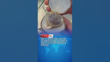 Cỗ cưới có món ngao bọc giấy bạc ít nơi có và sự thật ngã ngửa phía sau l #shorts #tinnhanh60s