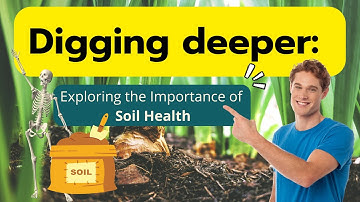 Digging Deeper: Exploring the Importance of Soil Health