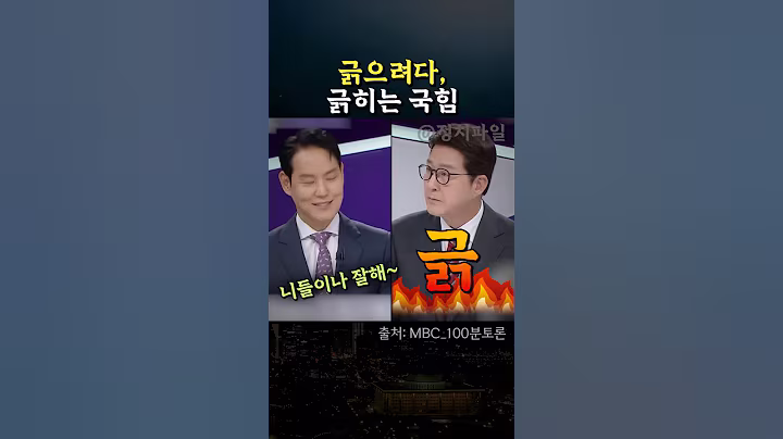 민주당 범법 국무위원 문제 삼으려다, 역관광당하는 국힘 신동욱 #김한규 #정치 #국민의힘