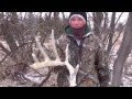 Big Surprises - Shed Hunting 2015 ~ Midwest Pursuit ~ Big Surprises - Shed Hunting 2015 ~ Midwest Pursuit ~