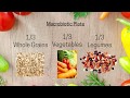 What is a macrobiotic diet   the macrobiotic plate