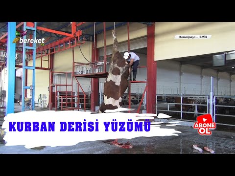 Doğru Bir Deri Yüzüm İşlemi Nasıl Yapılmalıdır ?