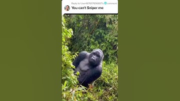 A Sniper Was Discovered On The Tower 🗼 #codm #codmobile #alcatrazcodm #shorts