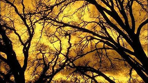 ماتيسر من القرٱن الكريم بصوت القارئ يوسف نورين الجزء الثالث