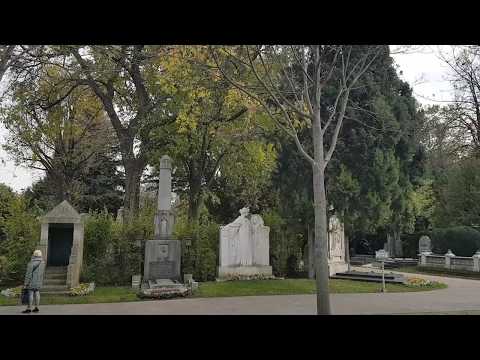 Video: Popolno Pokopališče Je Ubilo Mojstra Feng Shuija - Alternativni Pogled