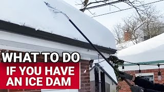 What To Do If You Have An Ice Dam - Ace Hardware