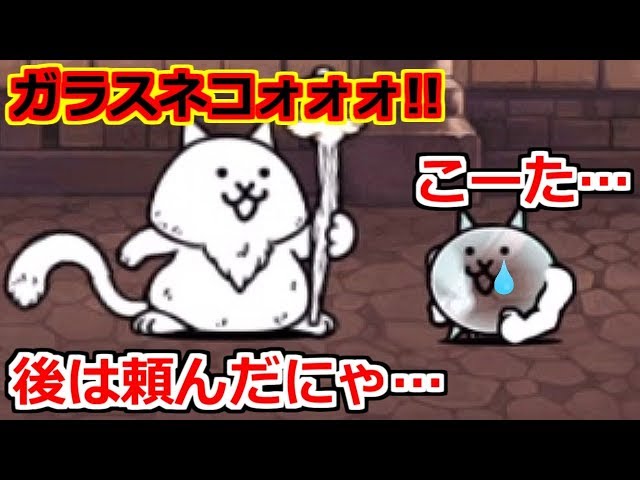 大判ヘレロ ステンドグラス ストレッチ・ケリー猫さんグラスマスターズにゃんこ マルイシティ横浜にネコ店長がやってくる！ 2025年3月8日(土)に