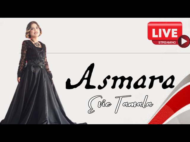 Asmara - Evie Tamala || Cover Mei class=