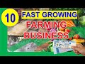 The 10 profitable farming ideas with farmgate and retail price