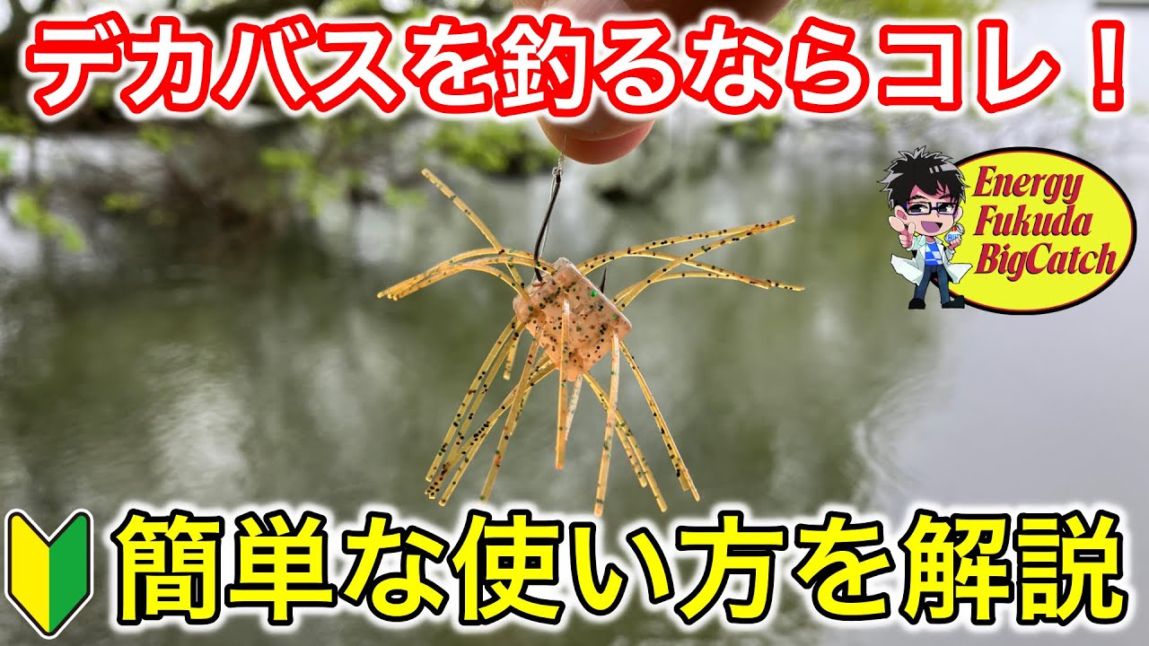 Catch More Fish With Dice Rubber! A Complete Guide to Easy