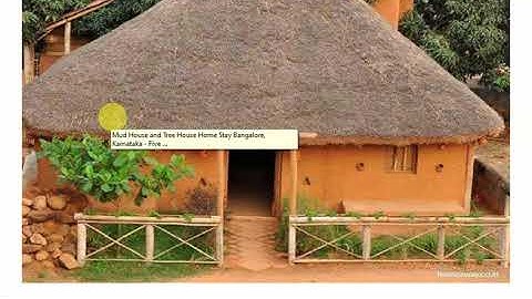 Social science Grade 3