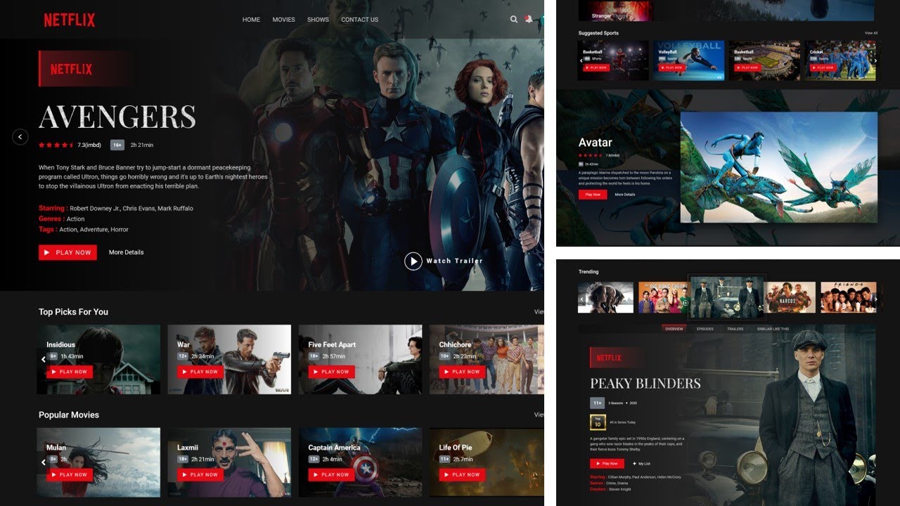 Netflix / Video Streaming website using HTML, CSS &  jQuery | Complete One Video Website