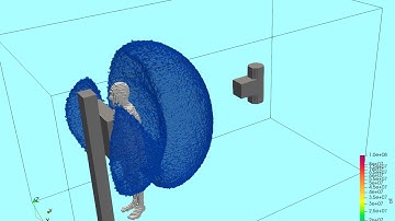 MC simulation and visualization of 4D scatter radiation distribution in chest radiography