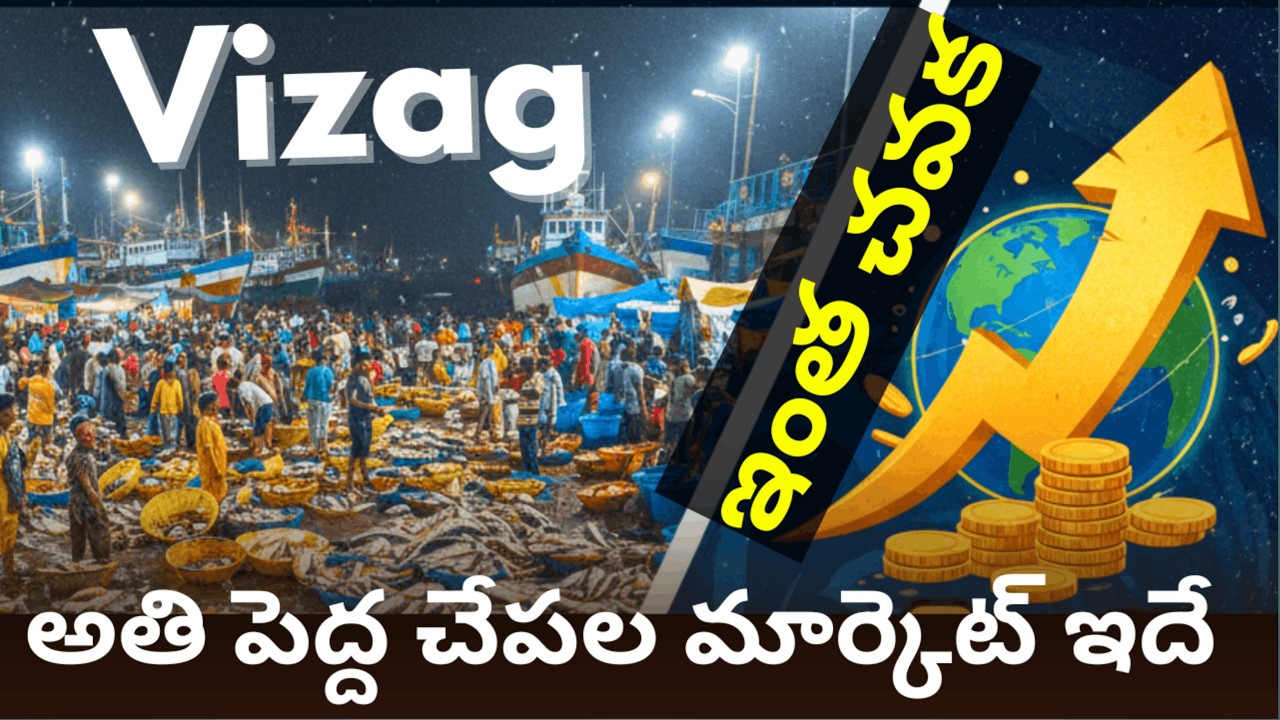 The SHOCKING Truth About Vizag Fishing Harbour's Market Dominance