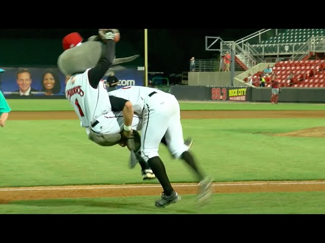 Carolina Mudcats on X: Mini Muddy appreciation post. #GoMudcats   / X