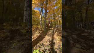 Rock Drop#mtb #dirt #downhill #fypage