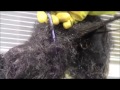 How To Detangle Matted Hair