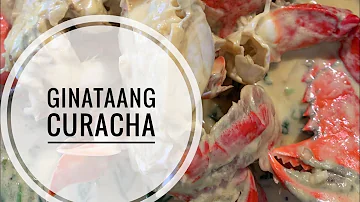 Ginataang Curacha | Spanner Crab in Spicy Coconut Milk