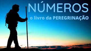 NUMEROS: Panorama e Explicação | Saiba TUDO sobre o livro da PEREGRINAÇÃO