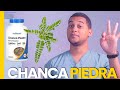 CHANCA PIEDRA WHAT IS IT USED FOR 3 THINGS CHANCA PIEDRA WHAT IS IT USED FOR 3 THINGS