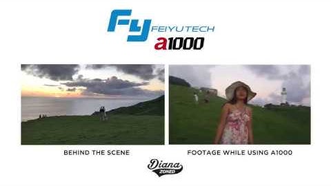 Feiyu Tech A1000 - Best Travel Buddy Gimbal