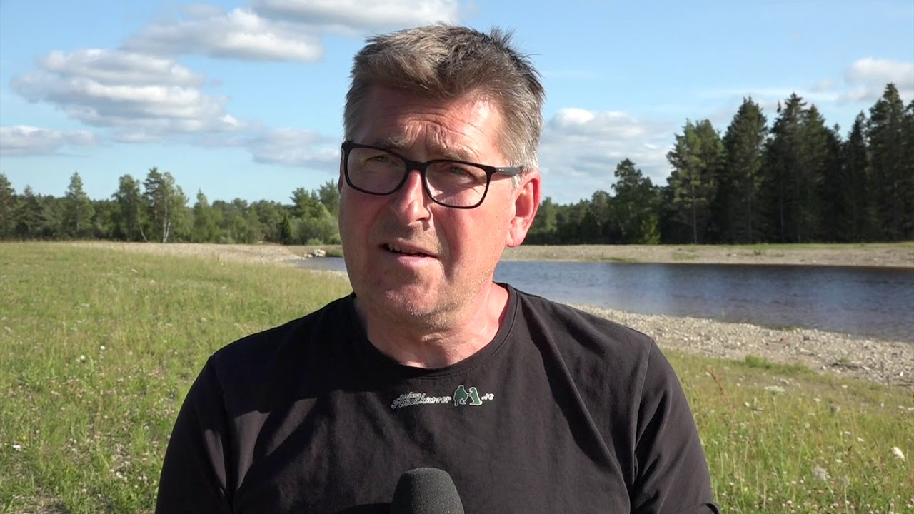 Våtmarken Boters myr på Gotland