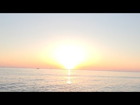 Sunshine 🌞 - YouTube