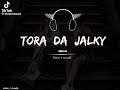 Tora Da Jalky New Slowed+Reverb Songs 2025