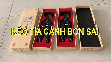 Kéo Cắt Tỉa Cây Cảnh 199k miễn phí ship | Kéo tỉa cành bonsai thép SK5