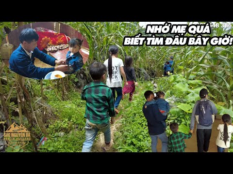 Video RỒNG RẮN LÊN MÂY dắt nhau ra huyện làm việc này, em Cơ... - youtube