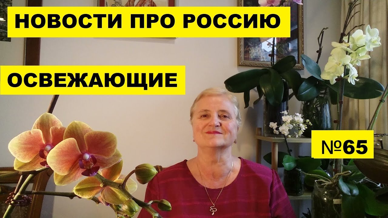Вампир киев имена Вампир киев имена