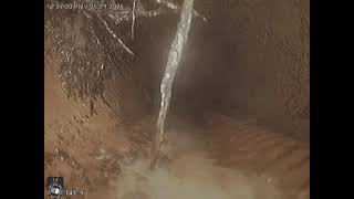 4784 S Pine Rd Evergreen CO 80439 2026 05 29 12 03 15