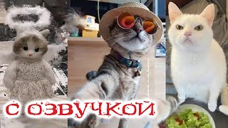 Funny Animal Videos 2023 - Funniest Dogs and Cats Videos #127