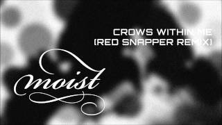 Moist - Crows Within Me (Red Snapper Remix)