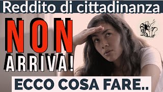 IL REDDITO DI CITTADINANZA NON ARRIVA? 🤷‍♂️ 👉 Ecco i motivi e cosa potresti fare. IL REDDITO DI CITTADINANZA NON ARRIVA? 🤷‍♂️ 👉 Ecco i motivi e cosa potresti fare.