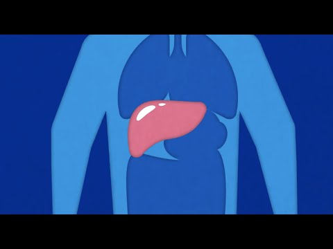 Video: Sådan hjælper du nogen med at komme sig efter en levertransplantation