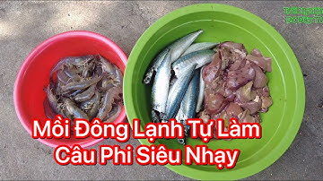 Hướng Dẫn Làm Mồi Đông Lạnh Câu Cá Phi , Cá chép Siêu Nhạy